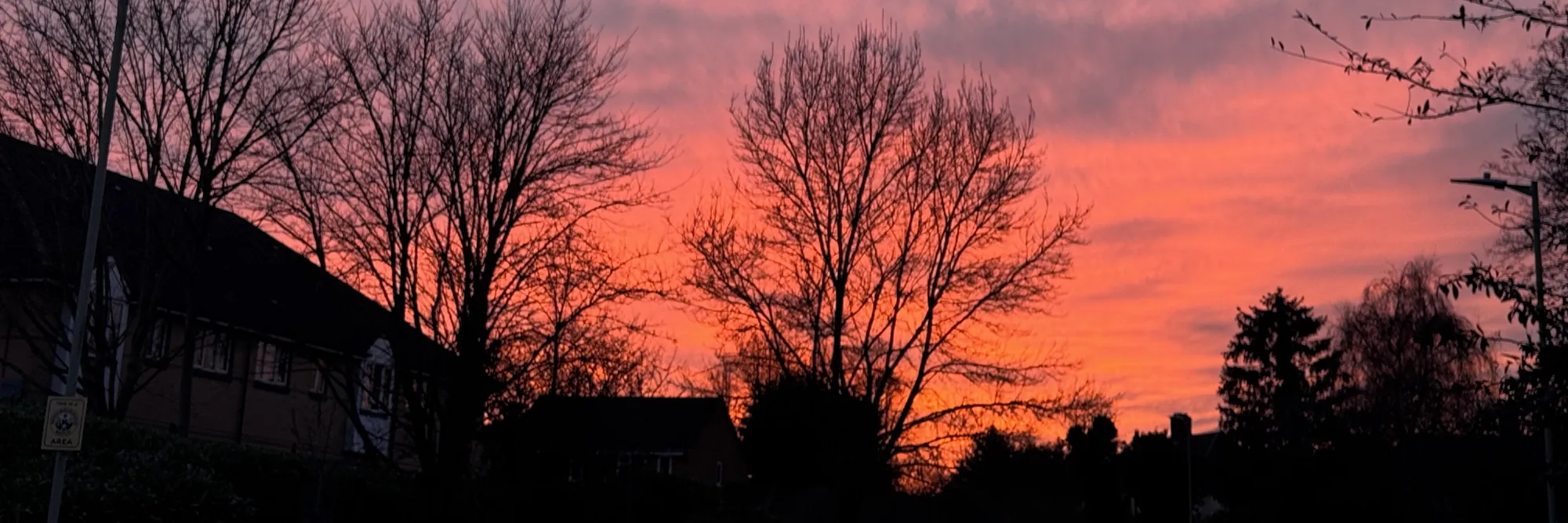 Rooftops and bare winter trees in silhouette against a burning orange and pink sunset.